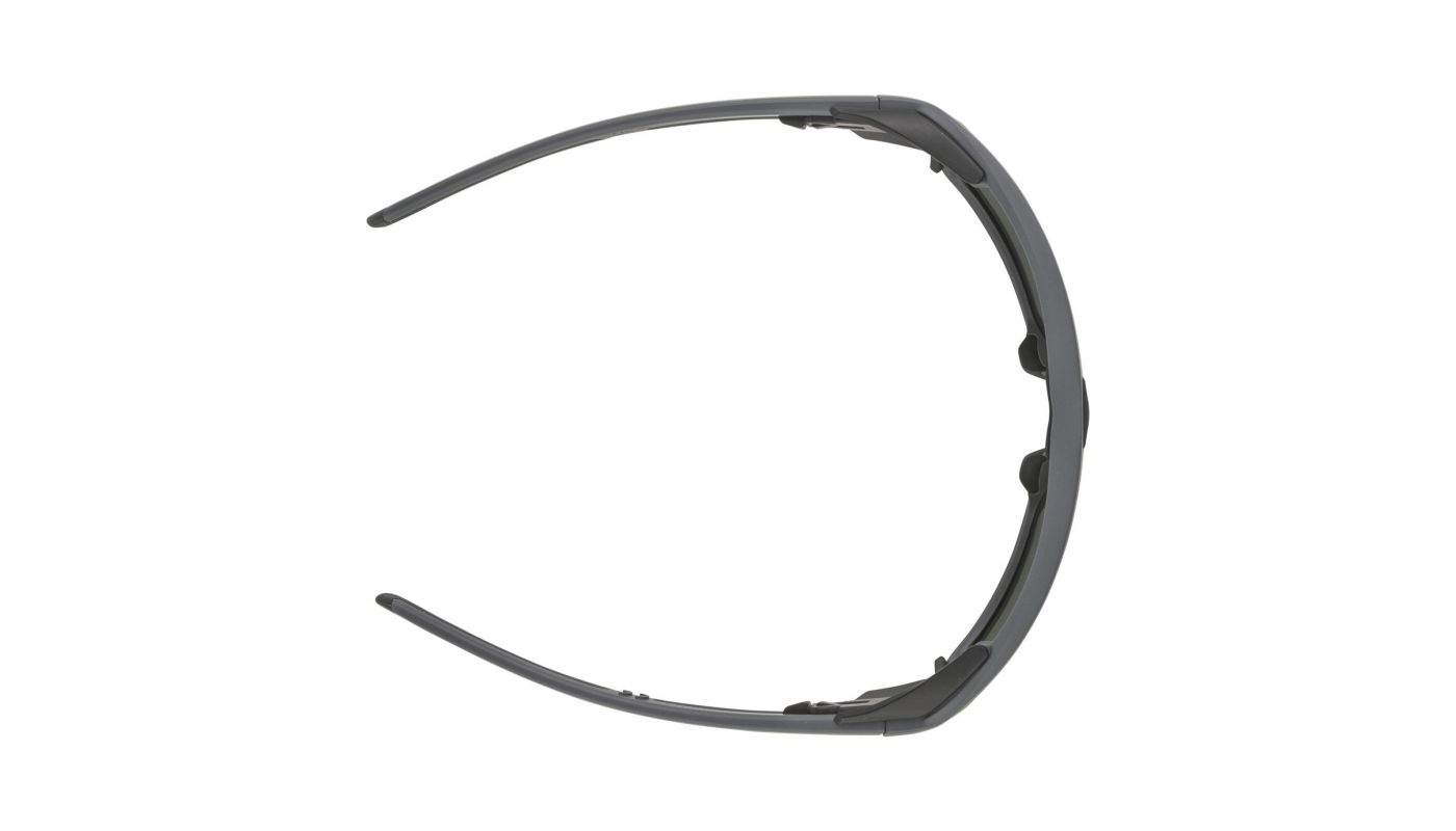 Sportovní brýle Alpina SKYWALSH Q - 3