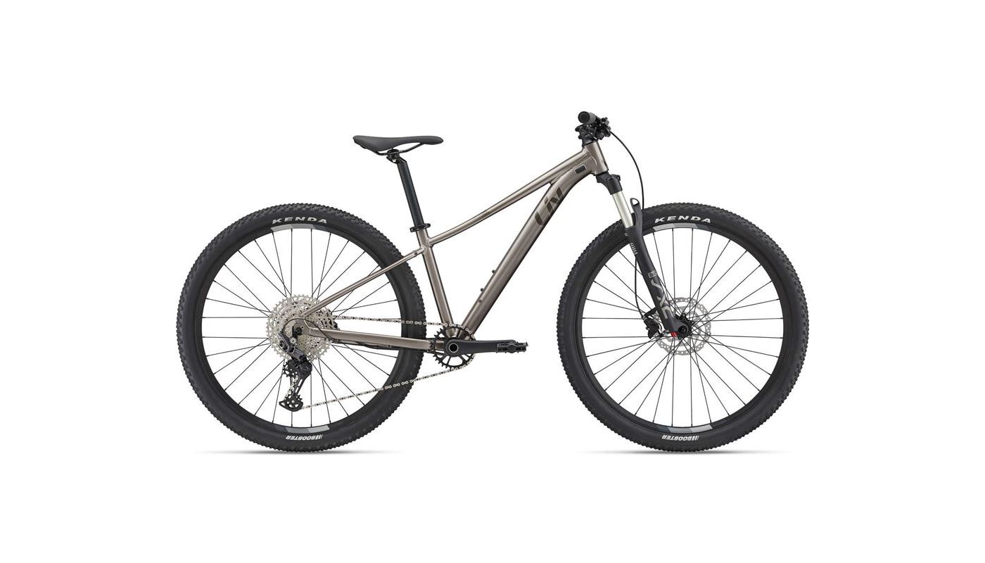 Giant (Liv) Tempt 29 0 Metal 2024 - 1