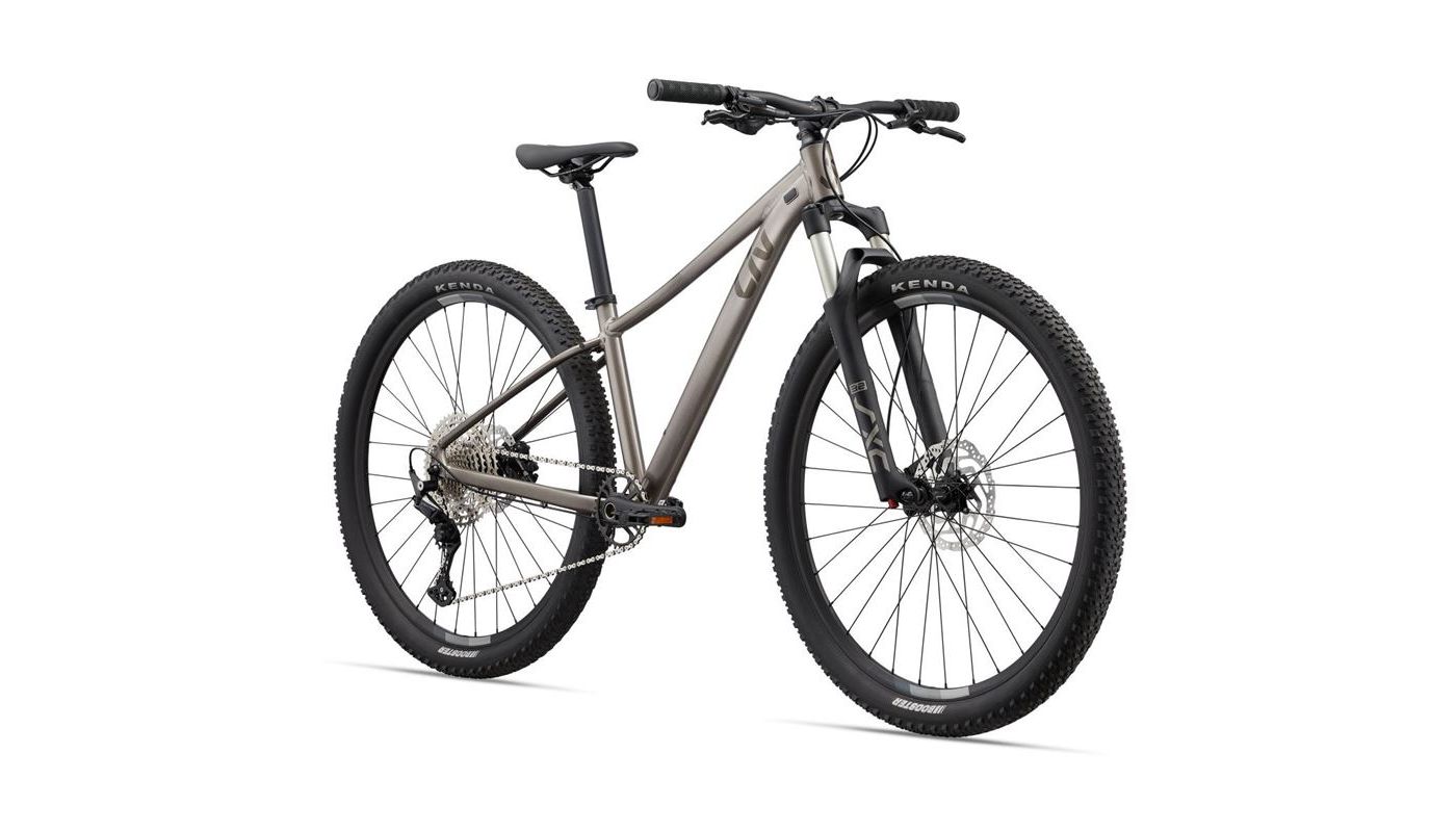 Giant (Liv) Tempt 29 0 Metal 2024 - 2