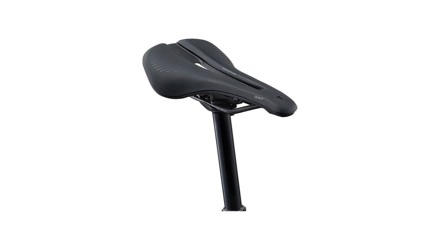 Giant Anthem Advanced 29 2 Moonstone 2025 - 2