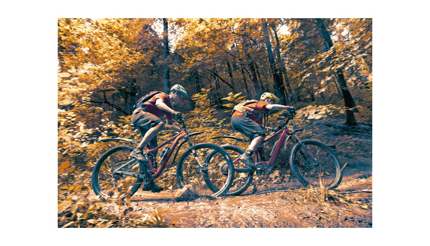 Zadní blatník SKS X-Blade Dark 29" - 5