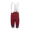 GORE SWIFTRIDE Optical Bib Shorts Mens utility red M - 5