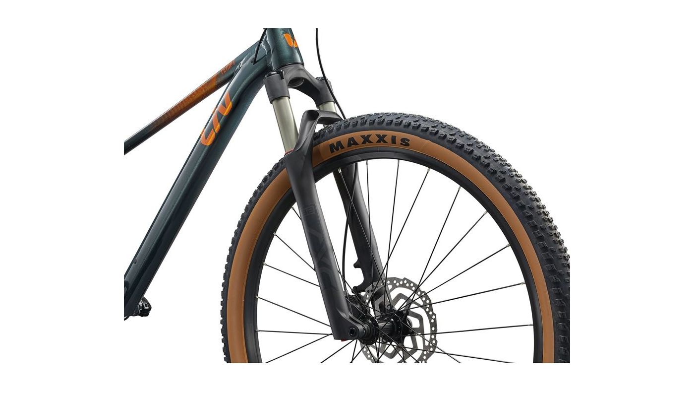 Liv Tempt 29 0 Asphalt Green 2025 - 4