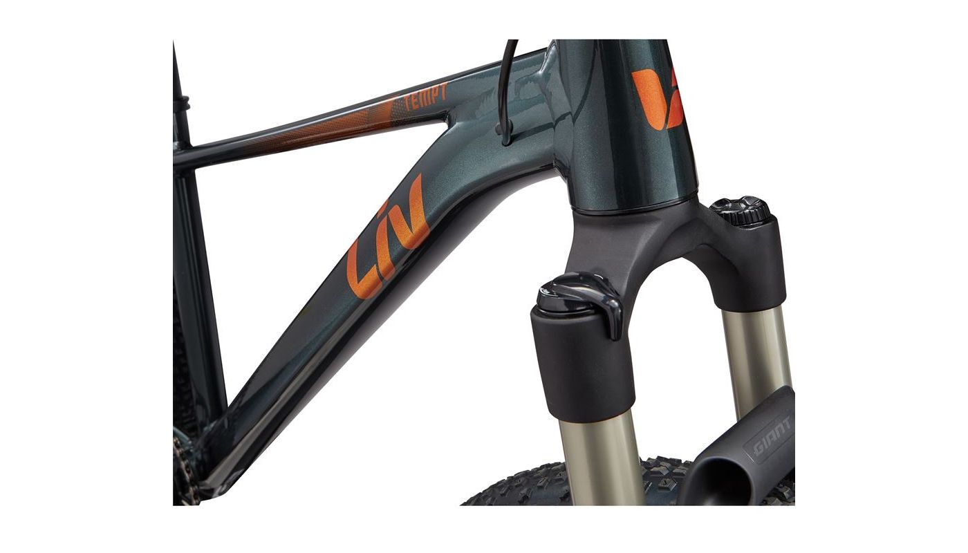 Liv Tempt 29 0 Asphalt Green 2025 - 6