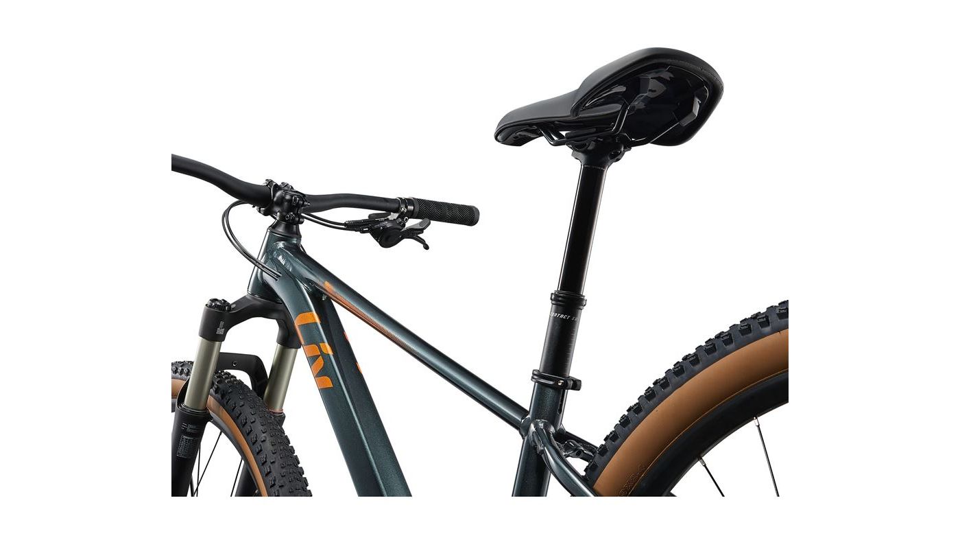 Liv Tempt 29 0 Asphalt Green 2025 - 7