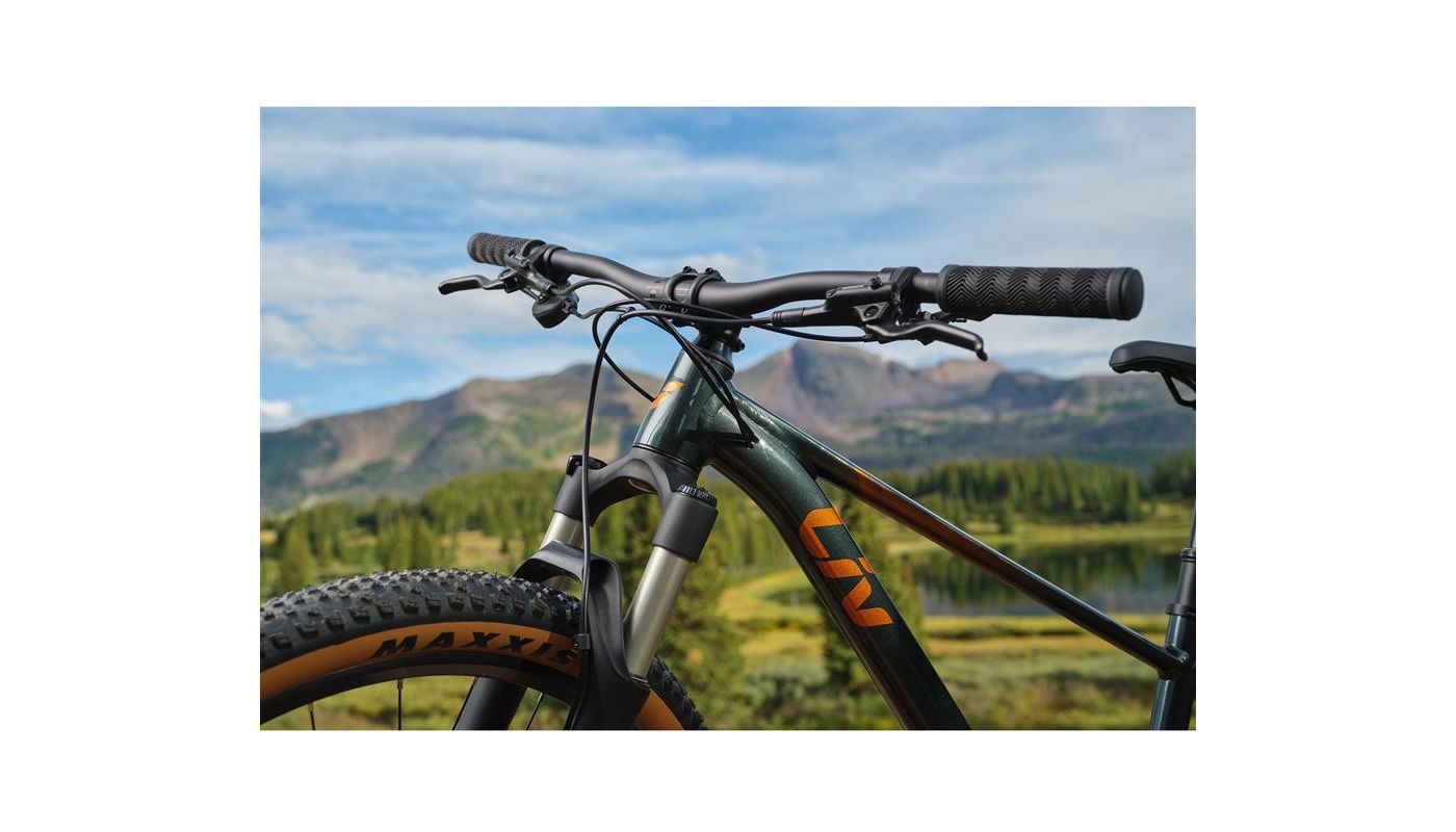 Liv Tempt 29 0 Asphalt Green 2025 - 11