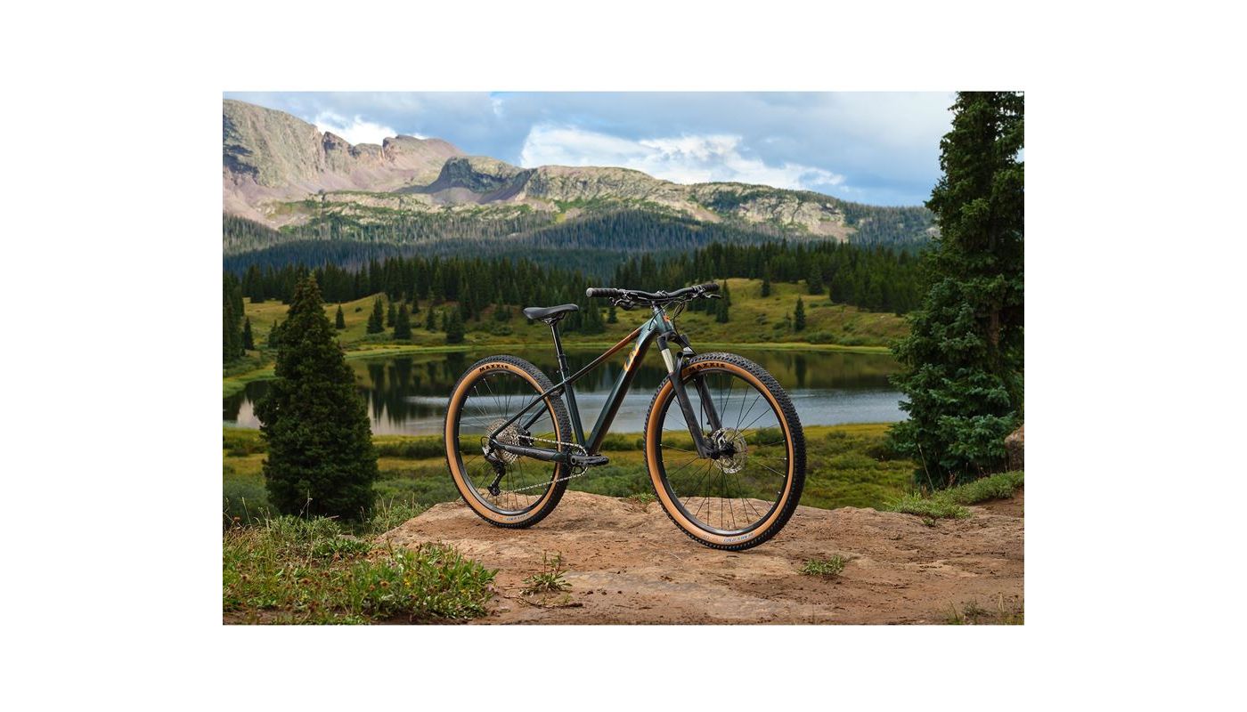 Liv Tempt 29 0 Asphalt Green 2025 - 12