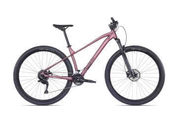 Rock Machine Catt 40 Matte Jasper Brown 2025 - 1