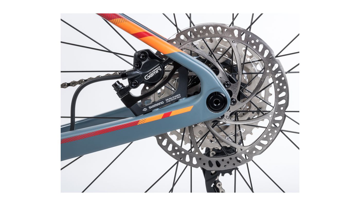 Author Modus 29 2024 - 2