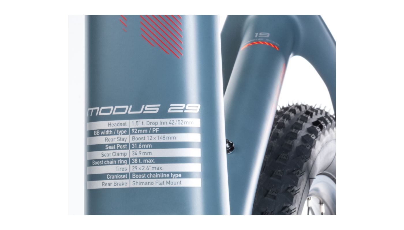 Author Modus 29 2024 - 4