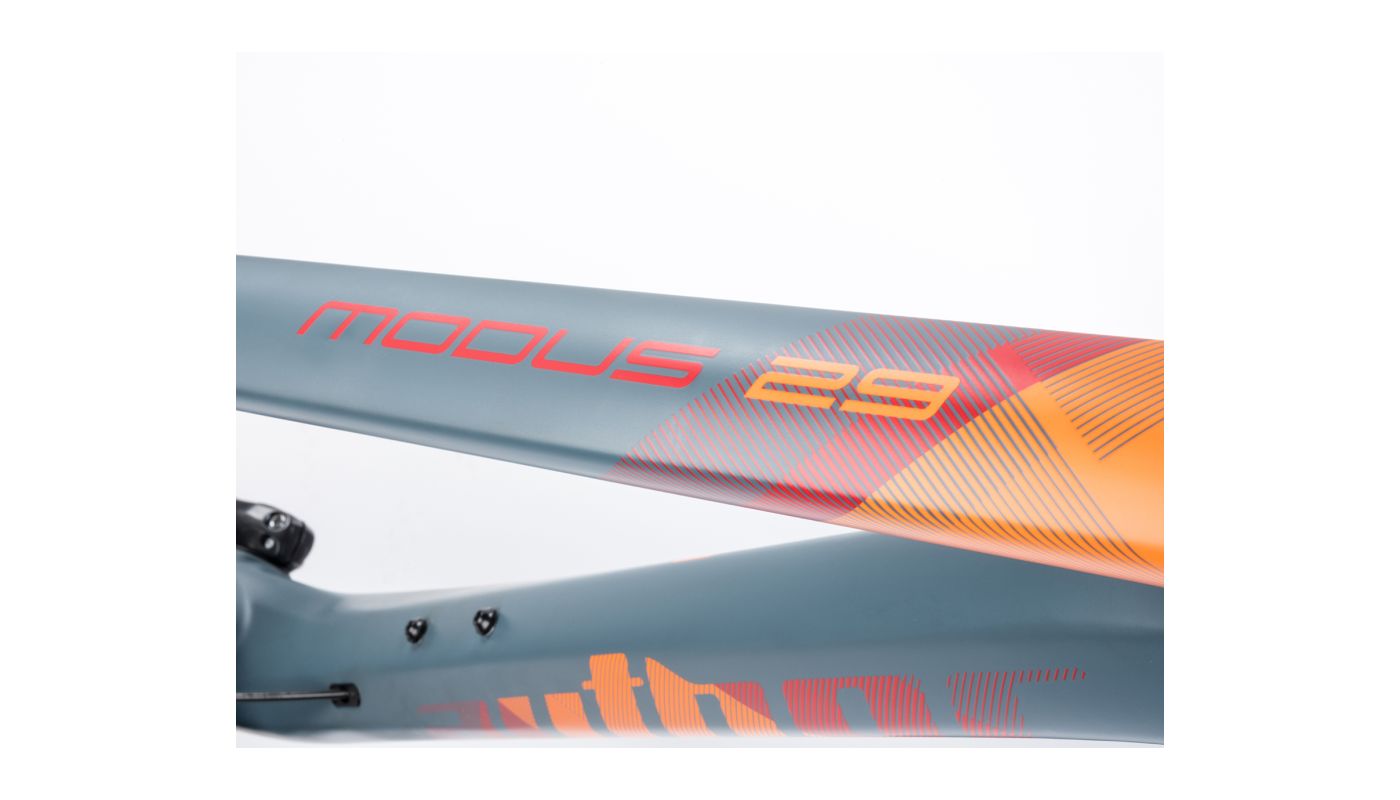 Author Modus 29 2024 - 5