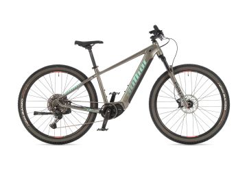 Author Elevation 29 ASL 2026 - 1