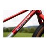Superior TEAM 20 Gloss Brushed Alu / Red 2026 - 6