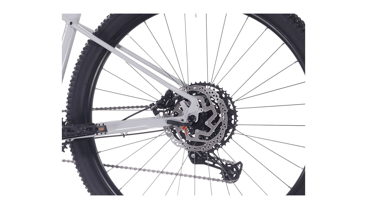 Rock Machine Blizz 30 Gloss Limerock Grey 2026 - 3