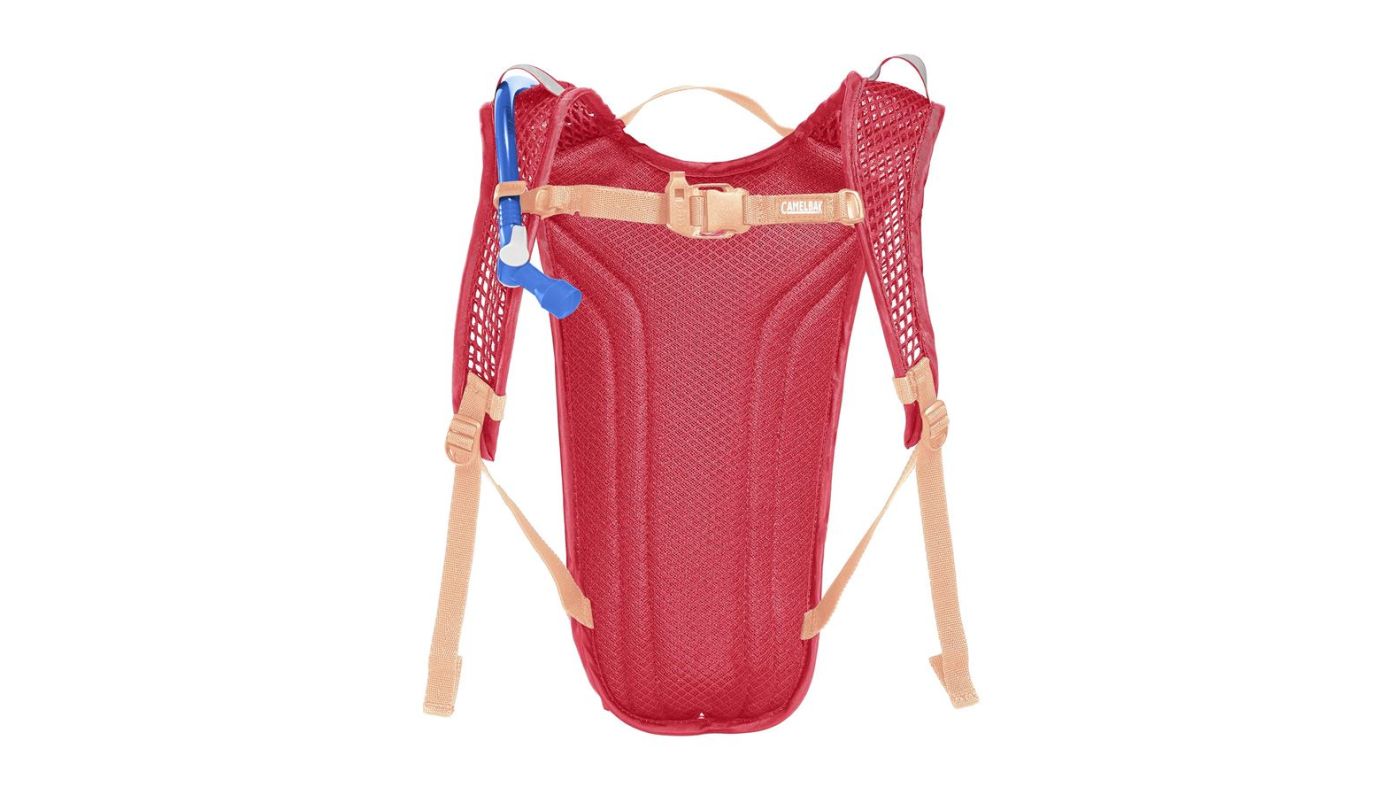 Dětský batoh CAMELBAK Mini MULE Pink Flowers - 4