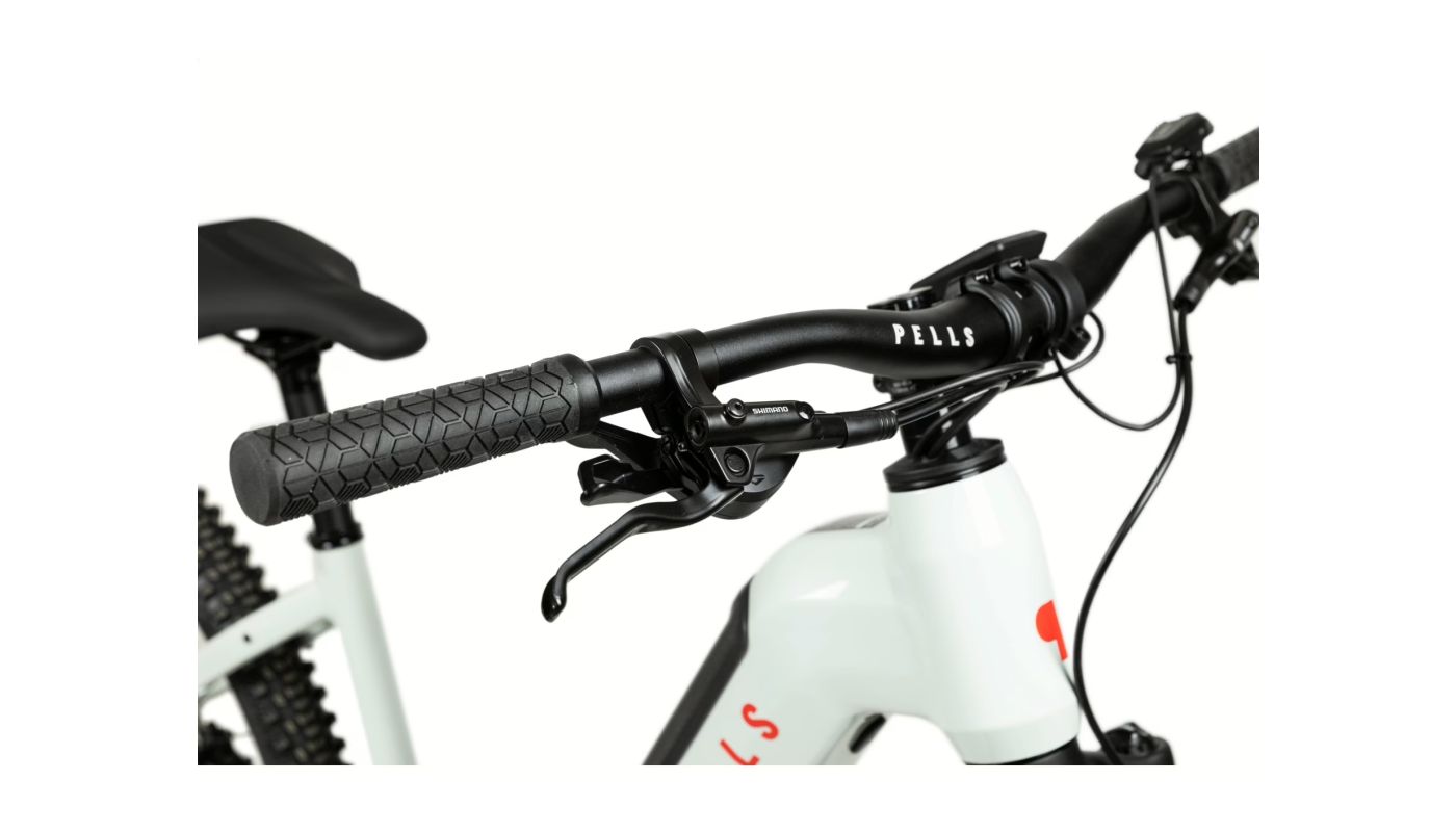 Elektrokolo PELLS Thorr Bosch Lowstep Cream/Red 2026 - 4