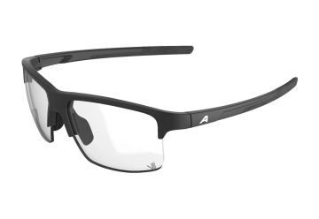 Alpina EAGLE V ,black matt - 1