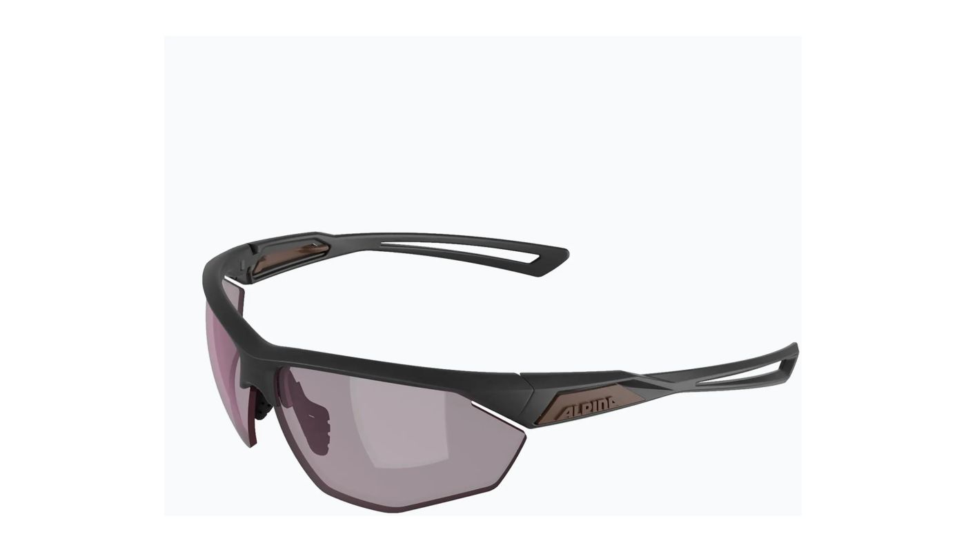 Sportovní brýle Alpina Nylos HR, gun matt - pink - 1