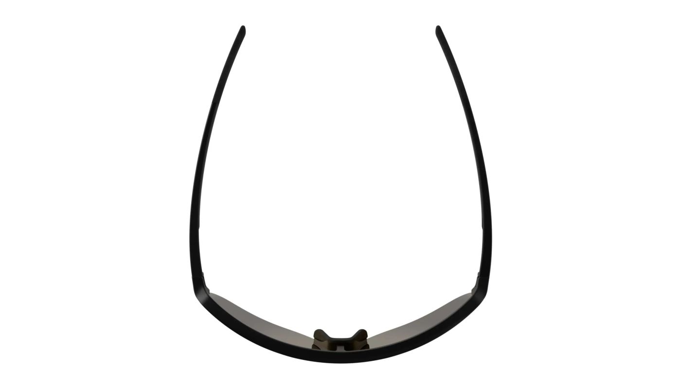 Brýle Alpina RAM 2.0 Q-LITE ,black matt - 4