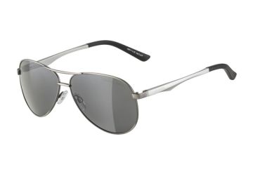 Brýle Alpina A 107,titanium matt - 1