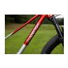 Superior TEAM 27.3 Gloss Brushed Alu / Red 2026 - 2