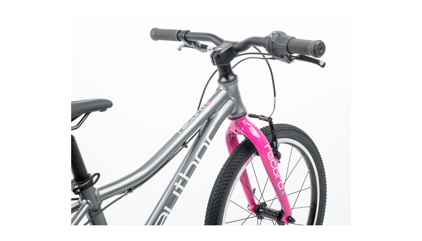 Author Record 20 2026 stříbrná/růžová - 2