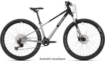 Superior TEAM 27.7 Gloss Brushed Alu / Rainbow Black 2026 - 1