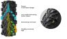 Plášť Vittoria Peyote II 29x2.25 XC Race Full Black G2.0 - 4