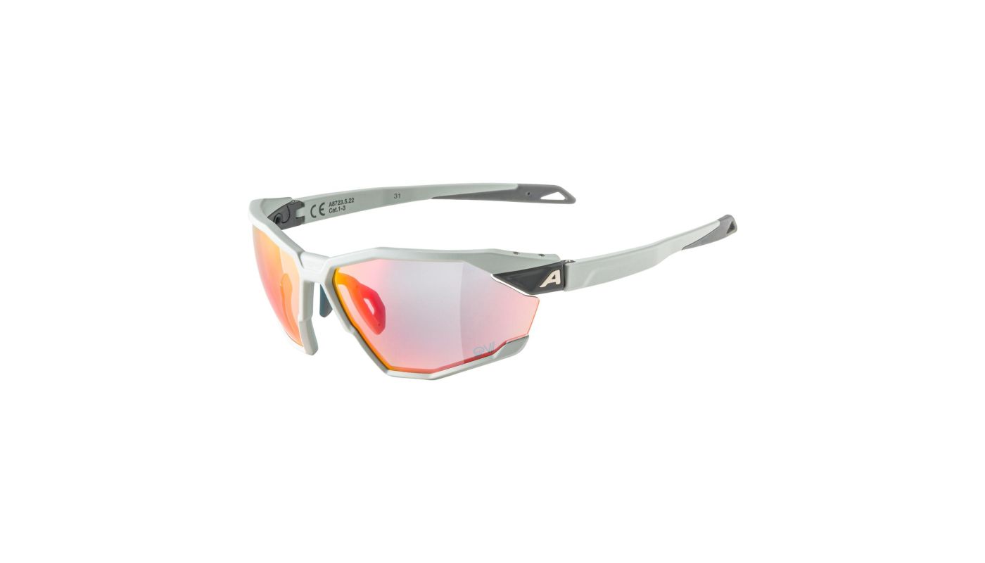 Sportovní brýle Alpina TWIST SIX QV smoke-grey matt - 1