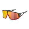 Sportovní brýle Alpina LEGEND Q-LITE black red matt - 1