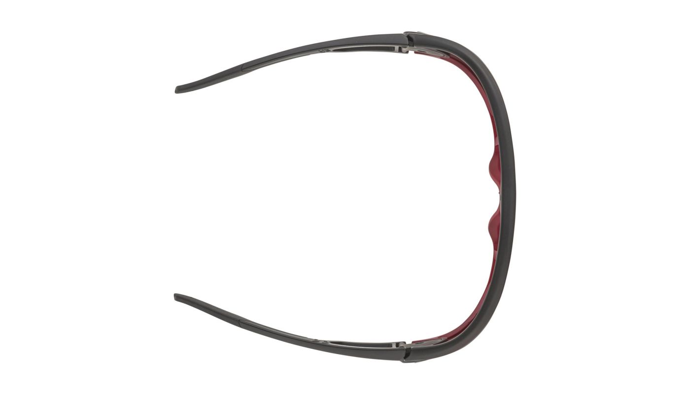 Sportovní brýle Alpina LEGEND Q-LITE black red matt - 3