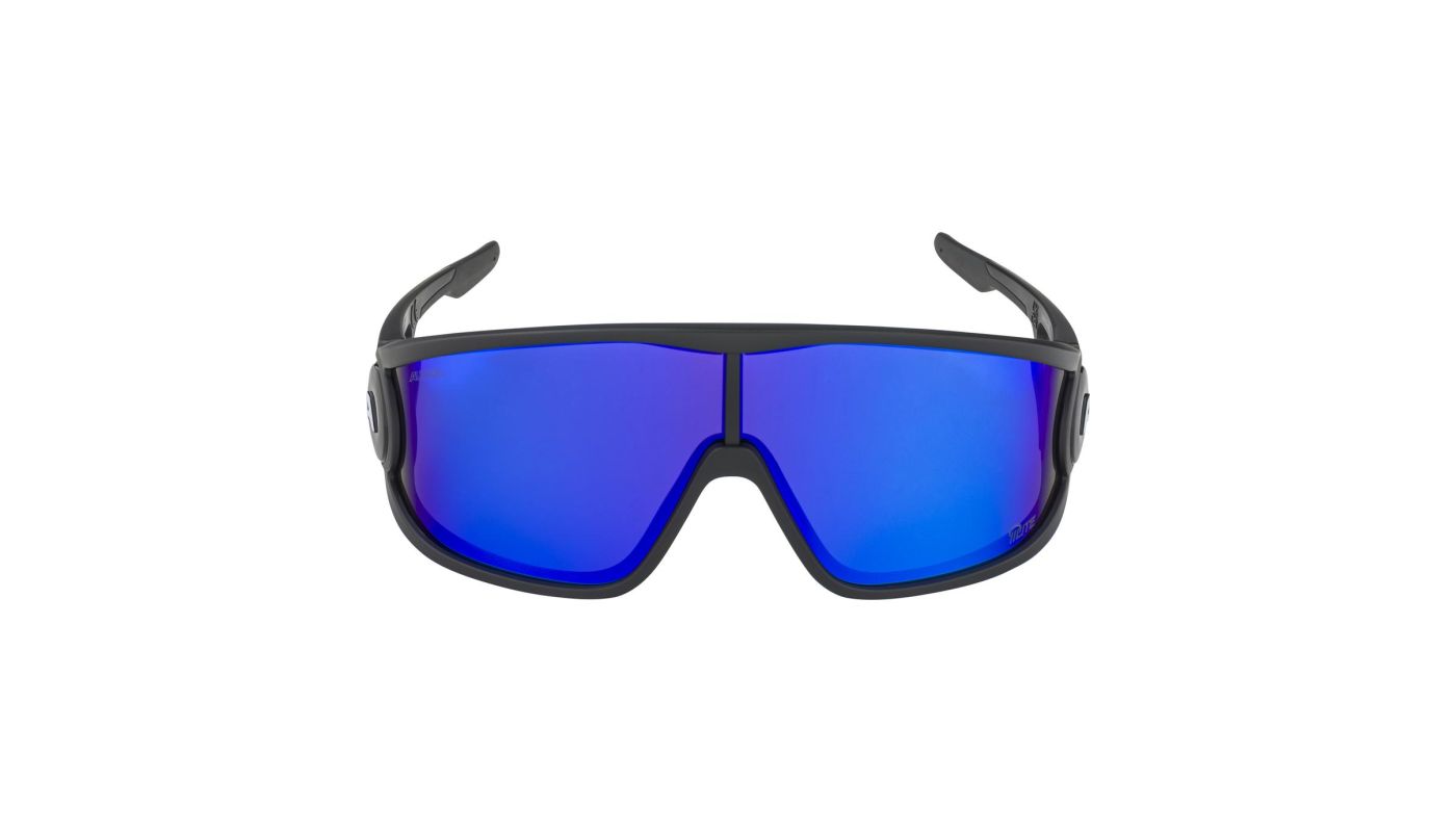 Sportovní brýle Alpina LEGEND Q-LITE black matt - 2