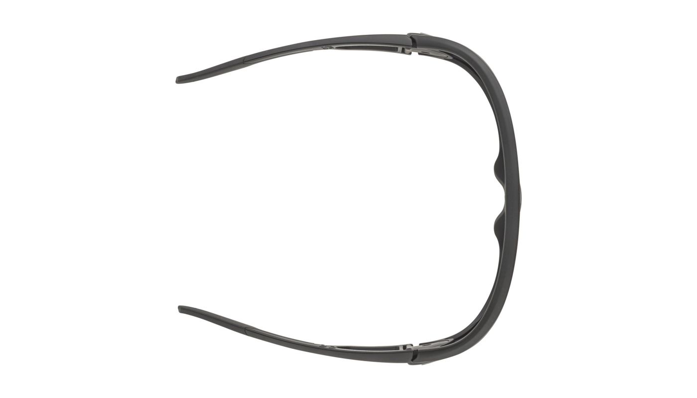 Sportovní brýle Alpina LEGEND Q-LITE black matt - 3