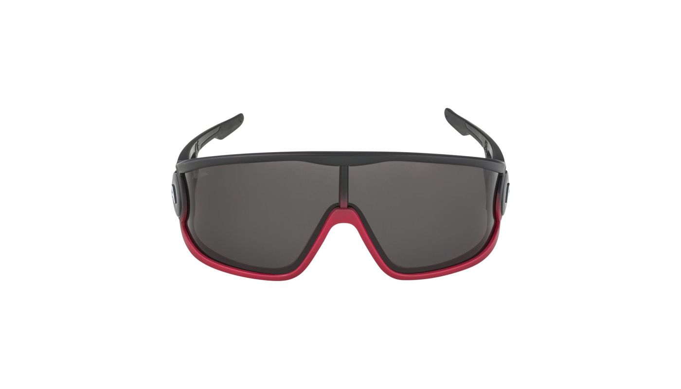 Sportovní brýle Alpina LEGEND black red matt - 2