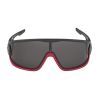 Sportovní brýle Alpina LEGEND black red matt - 2