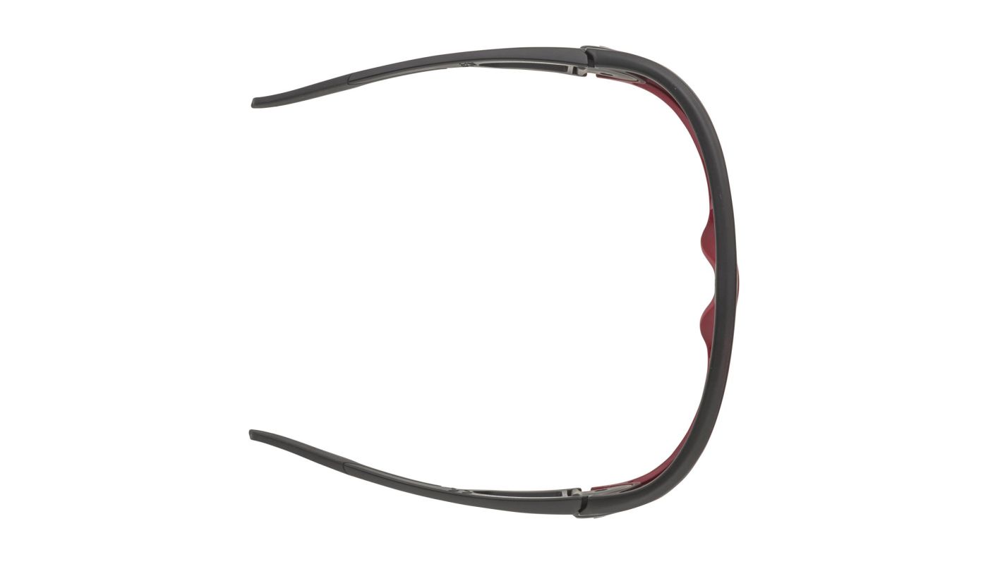 Sportovní brýle Alpina LEGEND black red matt - 3