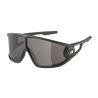 Sportovní brýle Alpina LEGEND black matt - 1