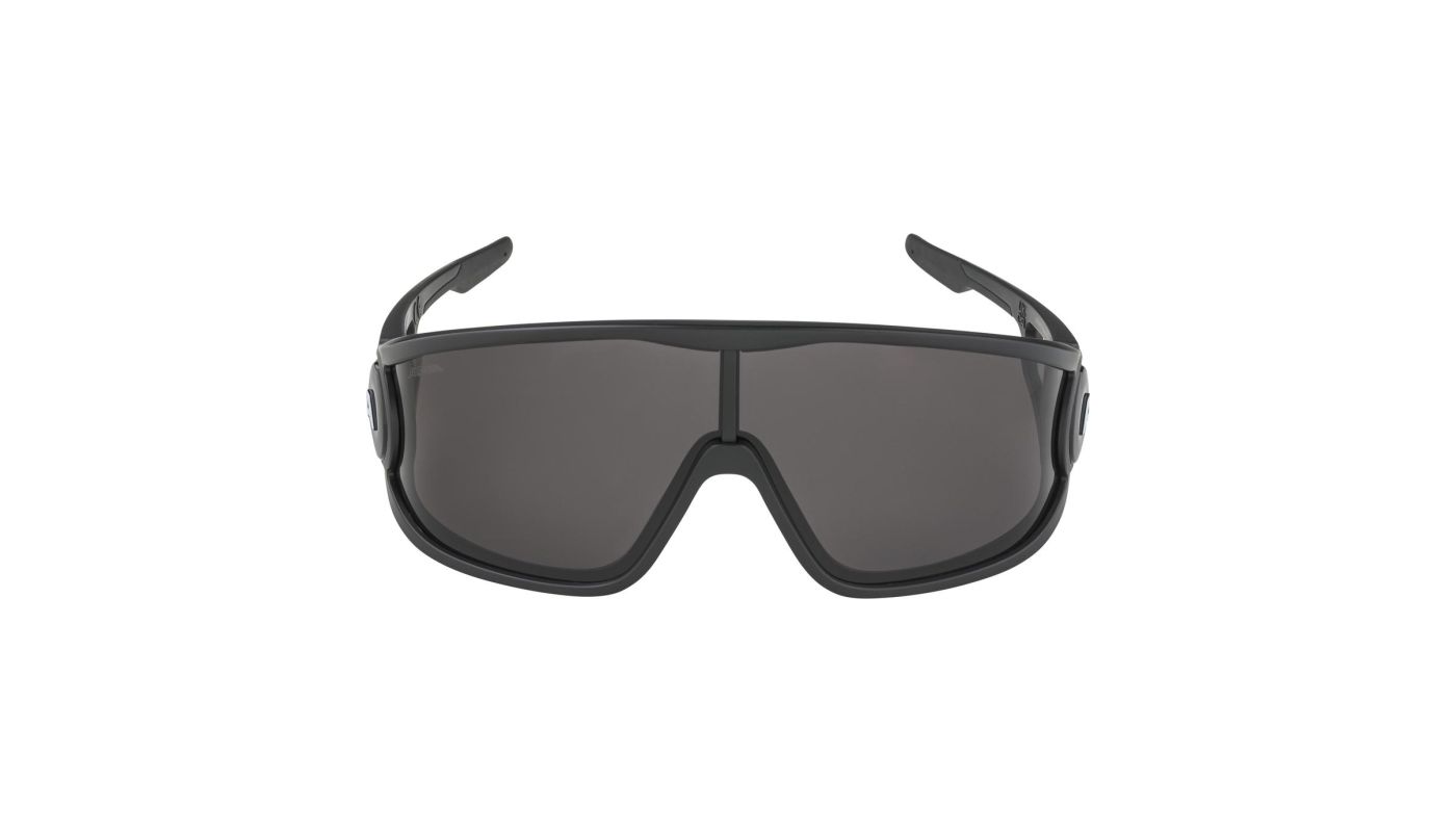 Sportovní brýle Alpina LEGEND black matt - 2
