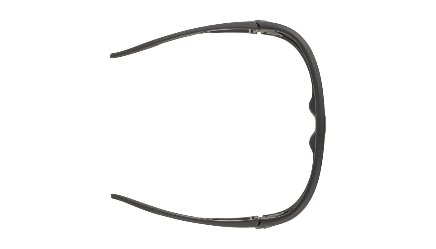 Sportovní brýle Alpina LEGEND black matt - 3