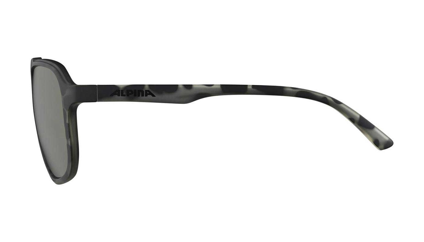 Brýle Alpina Snazz, leo-grey matt - 2